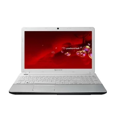 Ремонт ноутбука Packard Bell EasyNote TS44 Intel